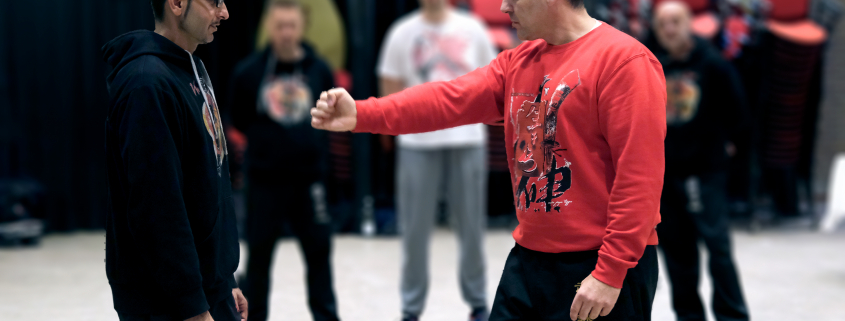Wing Chun Seminar Domburg 2021